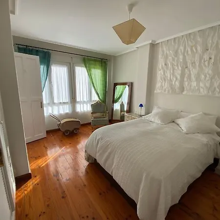 Apartment Atico Lira *